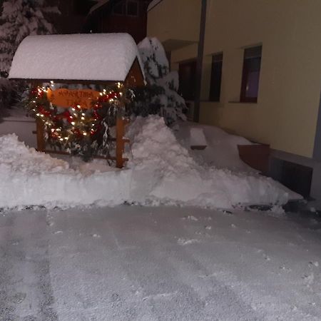 Apartment Tjasa Radovljica Exterior foto